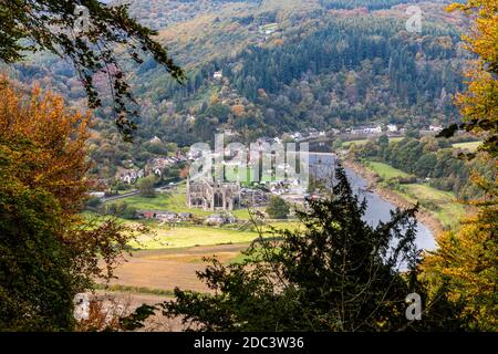 Guardando giù sull'abbazia di Tintern nella Wye Valley dal Devil's Pulpit sulla Shorn Cliff, Tidenham Chase, Gloucestershire UK Foto Stock