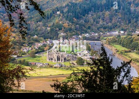 Guardando giù sull'abbazia di Tintern nella Wye Valley dal Devil's Pulpit sulla Shorn Cliff, Tidenham Chase, Gloucestershire UK Foto Stock