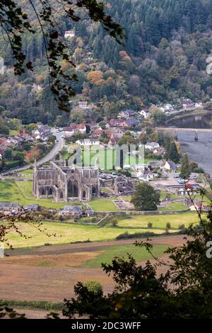 Guardando giù sull'abbazia di Tintern nella Wye Valley dal Devil's Pulpit sulla Shorn Cliff, Tidenham Chase, Gloucestershire UK Foto Stock
