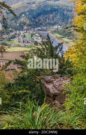 Guardando giù sull'abbazia di Tintern nella Wye Valley dal Devil's Pulpit sulla Shorn Cliff, Tidenham Chase, Gloucestershire UK Foto Stock