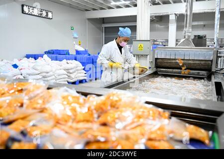 (201118) -- LIUZHOU, 18 novembre 2020 (Xinhua) -- li Yongguo controlla i germogli di bambù sottaceto imballati in un laboratorio di una società 'Luosifen' a Liuzhou, regione autonoma di Guangxi Zhuang della Cina meridionale, 18 novembre 2020. Li Yongguo, 41, era un coltivatore di bambù a Baise di Guangxi. Venne a Liuzhou nel 2008 e iniziò a fare germogli di bambù sottaceto come un'impresa. Più di dieci anni di esperienza nel fare germogli di bambù sottaceto lo rende abbastanza sensibile verso l'odore di germogli di bambù sottaceto. Può anche distinguere la qualità dei germogli di bambù semplicemente odorando them.Pickled germogli di bambù sono a. Foto Stock