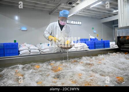 (201118) -- LIUZHOU, 18 novembre 2020 (Xinhua) -- li Yongguo controlla i germogli di bambù sottaceto imballati in un laboratorio di una società 'Luosifen' a Liuzhou, regione autonoma di Guangxi Zhuang della Cina meridionale, 18 novembre 2020. Li Yongguo, 41, era un coltivatore di bambù a Baise di Guangxi. Venne a Liuzhou nel 2008 e iniziò a fare germogli di bambù sottaceto come un'impresa. Più di dieci anni di esperienza nel fare germogli di bambù sottaceto lo rende abbastanza sensibile verso l'odore di germogli di bambù sottaceto. Può anche distinguere la qualità dei germogli di bambù semplicemente odorando them.Pickled germogli di bambù sono a. Foto Stock