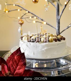 Torta di Natale ghiacciata con noci di cioccolato in cima a un Piedistallo trasparente con un albero di Natale illuminato sfondo Foto Stock