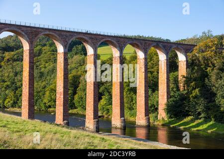 Il Viadotto Leaderfoot sul fiume Tweed Ravenswood vicino Melrose Scottish Confina con la Scozia UK GB Europe conosciuta come il Viadotto Drygrange Foto Stock