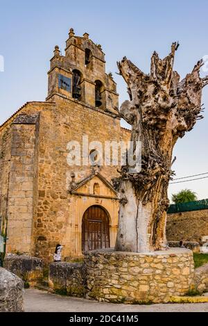 Chiesa parrocchiale di San Sebastián e croce di pietra. Pesquera de Ebro, regione Páramos, comune di Valle de Sedano. Burgos, Castilla y León, Spagna, Foto Stock