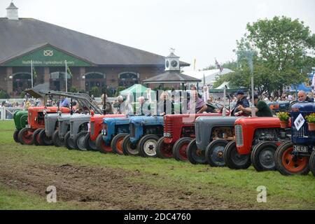 Trattori classici allo Staffordshire County Show Foto Stock