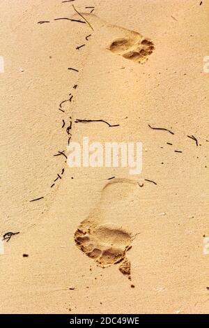 Soffici footprint nella sabbia nel soleggiato happy day Foto Stock