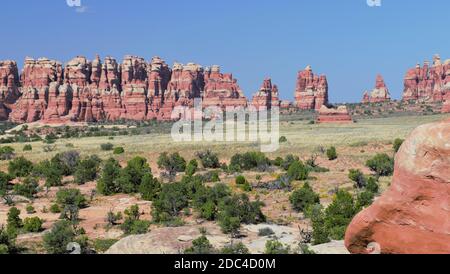 Chesler Park, Canyonlands Needles District Foto Stock