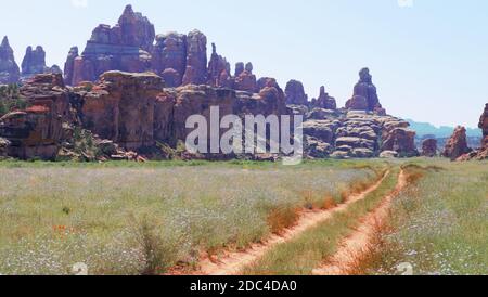Elephant Hill Trail, Canyonlands Needles District Foto Stock