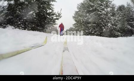 Sci di fondo nella giornata invernale innevata nella foresta. Gruppo di sci di fondo di pensionati nella pineta invernale. Concetto di lifstil sano invernale Foto Stock