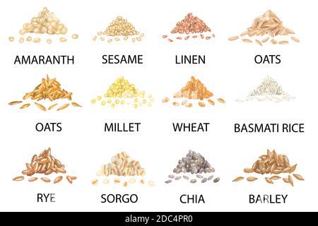 Set di pile colorate di cereali disegnate a mano isolate su bianco. Amaranth, sesamo, lino, avena, miglio, frumento, segala, sorgo, chia, orzo, riso. Stil Illustrazione Vettoriale