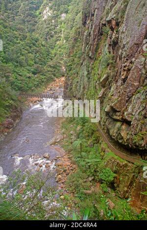 Le finestre camminano nella Gola di Karangahake Foto Stock