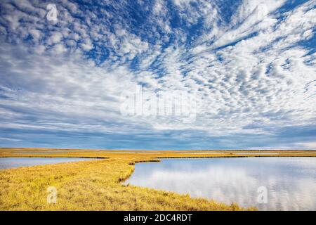 Vista aerea di pianure costiere e stagni glaciali presso l'Arctic National Wildlife Refuge nel nord-est dell'Alaska. La remota riserva naturale Artic National Wildlife Refuge copre circa 19.64 milioni di ettari di terreno ed è la più grande riserva naturale degli Stati Uniti. Foto Stock