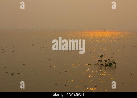 Il sole si riflette sulla superficie del lago con le luci del sole e il tramonto scintillante e luminoso Foto Stock