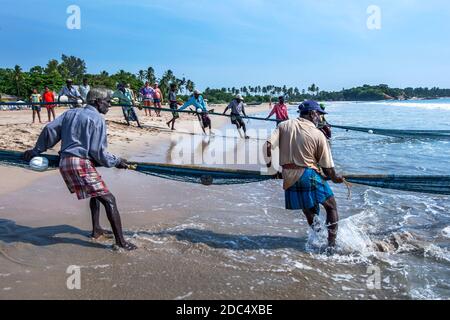 I pescatori che trasportano nella loro rete da pesca della Senna dall'oceano sulla spiaggia di Uppuveli sulla costa orientale dello Sri Lanka nella mattina presto. Foto Stock