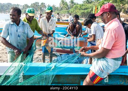 Pescatore che raccoglie il pesce dalle loro reti sulla spiaggia di Arugam Bay sulla costa orientale dello Sri Lanka dopo il ritorno dalla pesca la notte precedente. Foto Stock