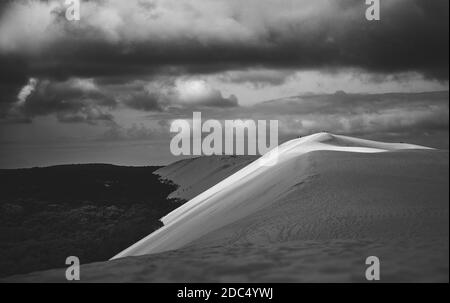 Dune Du Pilat, Francia, 2020 Foto Stock