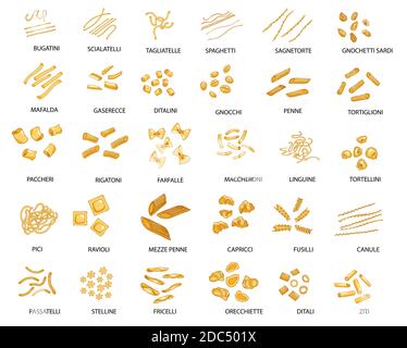 Grande set di diversi tipi di pasta italiana disegnata a mano con nomi diversi. Illustrazione vettoriale. Isolato su bianco, colorato. Illustrazione Vettoriale