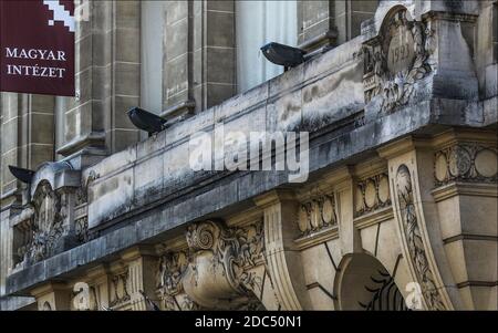 Parigi, Francia - 12 settembre 2020 - Institut Balassi hongrois Collegium Hungaricum foto di strada, Covid19, coronavirus, arte, strada... Foto Stock
