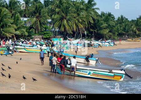 I pescatori tirano la loro barca dall'Oceano Indiano sulla spiaggia di Arugam Bay nello Sri Lanka. Stanno ritornando da una notte di pesca. Foto Stock