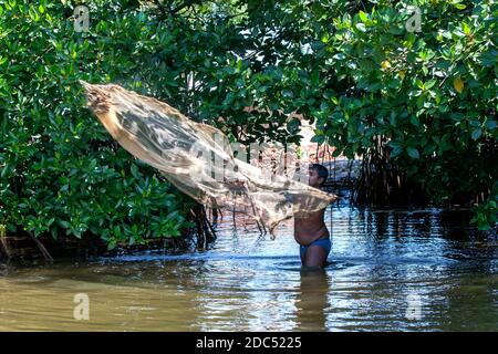 Un uomo getta la sua rete da pesca in una laguna adiacente agli alberi di mangrovie a Negombo in Sri Lanka. Molti locali si affidano alla pesca per nutrire le loro famiglie. Foto Stock