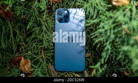 Parigi, Francia - 11 novembre 2020: albero di juniper sfondo nuovo Apple computer sfondo iPhone 12 pro smartphone con 5g e sensore lidar Foto Stock