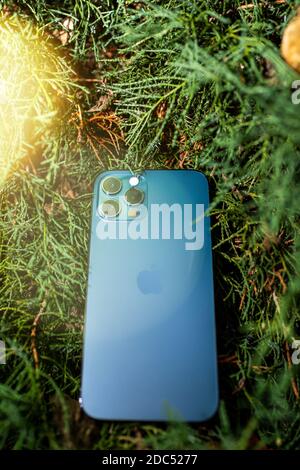 Parigi, Francia - 11 novembre 2020: albero di juniper sfondo nuovo Apple computer sfondo iPhone 12 pro smartphone con 5g e sensore lidar Foto Stock