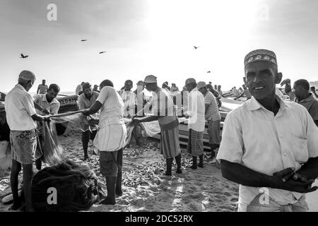 I pescatori ordinano le loro catture di pesce dalle loro reti sulla spiaggia di Arugam Bay nello Sri Lanka dopo il ritorno da una pesca di notte. Foto Stock