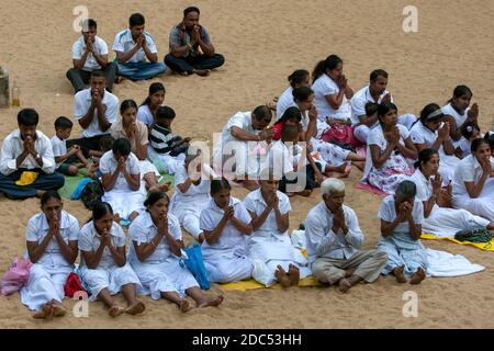 I fedeli buddisti pregano verso l'albero di Sri Maha Bodhi a Mahavihara, nell'antica città di Anuradhapura, nello Sri Lanka centrale. Foto Stock