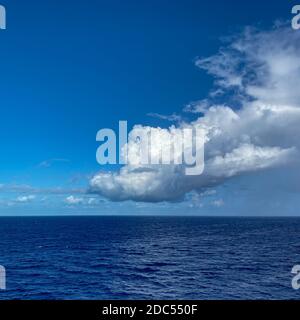 Half Moon Cay/Bahamas-10/31/19: Holland America Line Zuiderdam nave da crociera che sono ancorate al largo della isola privata di Half Moon Cay nelle Bahamas su un su Foto Stock