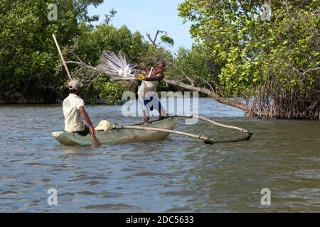 Un pescatore getta la sua rete nella Laguna di Pottovil da una canoa sulla costa orientale dello Sri Lanka. Sullo sfondo le mangrovie sono in crescita. Foto Stock