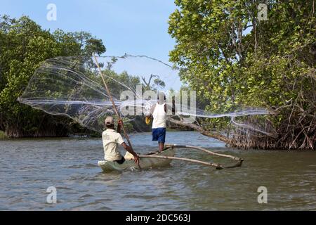Un pescatore getta la sua rete nella Laguna di Pottovil da una canoa sulla costa orientale dello Sri Lanka. Sullo sfondo le mangrovie sono in crescita. Foto Stock