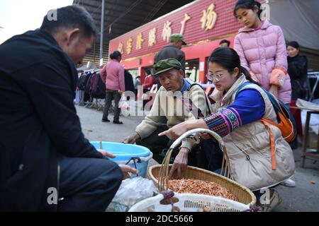 (201119) -- XIANGXI, 19 novembre 2020 (Xinhua) -- Peng Guofei (C) e il suo partner Zhang Fang (1° R) vendono pesce e gamberetti via live streaming a Furong Township a Xiangxi Tujia e nella prefettura autonoma di Miao, provincia di Hunan della Cina centrale, 15 novembre 2020. Peng Guofei, 75, è noto come 'nonno Fei' online. È nato e cresciuto nel remoto villaggio di Yangmu, situato nel profondo delle montagne di Wuling. Con l'aiuto di funzionari locali di soccorso alla povertà, gli abitanti del villaggio hanno accesso a Internet negli ultimi anni, come l'intero villaggio abbraccia la copertura completa del segnale 4G. All'inizio del 2020, Peng ha preso l'intern Foto Stock