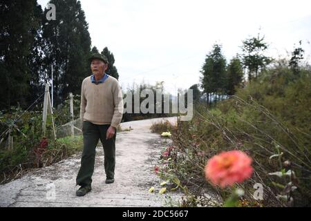 (201119) -- XIANGXI, 19 novembre 2020 (Xinhua) -- Peng Guofei cammina nel villaggio di Yangmu di Furong Township a Xiangxi Tujia e nella prefettura autonoma di Miao, provincia di Hunan della Cina centrale, 15 novembre 2020. Peng Guofei, 75, è noto come 'nonno Fei' online. È nato e cresciuto nel remoto villaggio di Yangmu, situato nel profondo delle montagne di Wuling. Con l'aiuto di funzionari locali di soccorso alla povertà, gli abitanti del villaggio hanno accesso a Internet negli ultimi anni, come l'intero villaggio abbraccia la copertura completa del segnale 4G. All'inizio del 2020, Peng ha preso corsi di internet nel villaggio per diventare un Internet influenzenc Foto Stock