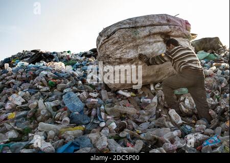 Un operaio romano seleziona bottiglie e altri contenitori di plastica raccolti nelle strade di Tirana, Albania, all'interno del dumfile Shann. Foto Stock