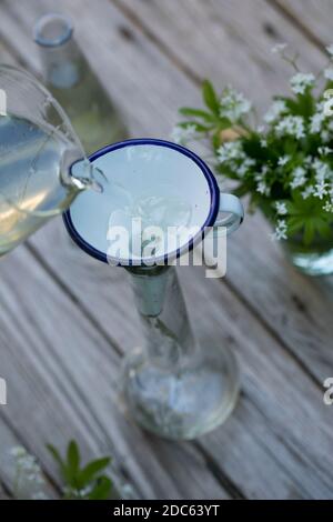 Waldmeister-Sirup, Waldmeistersirup, Sirup, Waldmeister, Wald-Meister, Wohlriechendes Labkraut, Galium odoratum, Woodruff dolce, bedpaglierino profumato Foto Stock