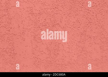 Corallo rosa a basso contrasto con fondo testurizzato in cemento Foto Stock