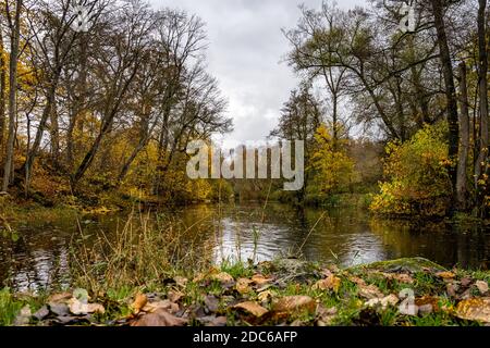 Un fiume che galleggia attraverso una colorata foresta autunnale. Foto della contea di Scania, Svezia Foto Stock