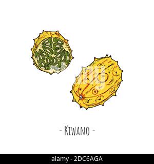 Fetta intera di kiwano e kiwano. Illustrazioni cartoni animati vettoriali. Oggetti isolati su sfondo bianco. Stile disegnato a mano. Illustrazione Vettoriale