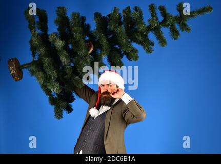 Uomo d'affari con faccia seria tiene calvo albero di Natale su baffi arriccianti. Concetto di affari e vacanza. Uomo in tuta e cappello di Santa su sfondo blu. Il dipendente con la barba si prepara per Natale Foto Stock