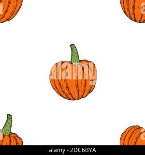 Motivo senza cuciture delle zucche. Sfondo cartoon vettoriale. Stile disegnato a mano. Illustrazione Vettoriale