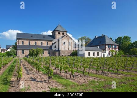 Geografia / viaggio, Germania, Assia, Oestrich-Winkel, Basilica di San Aegidius, Mittelheim, Oestrich-Winke, diritti-aggiuntivi-liquidazione-Info-non-disponibile Foto Stock