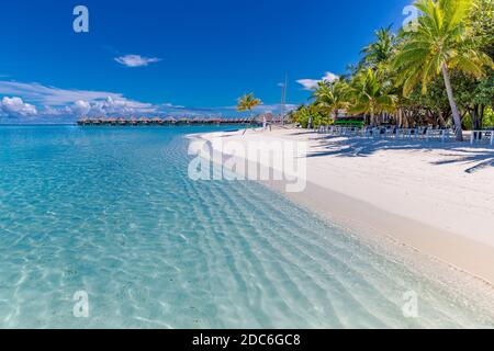 Spiaggia tropicale, Maldive. Tranquilla isola paradiso. Palme, sabbia bianca e mare blu, perfetto paesaggio estivo di vacanza o banner turistico di vacanza. Foto Stock