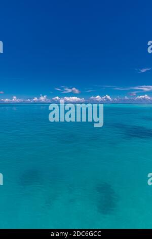 Vista aerea sulle isole tropicali. Maldive isola, barriera corallina, pittoresco paesaggio naturale, mare. Splendida vista aerea del drone Foto Stock
