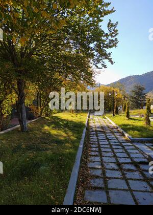 strada sassosa e alberi con foglie ingiallenti su un soleggiato giorno d'autunno Foto Stock
