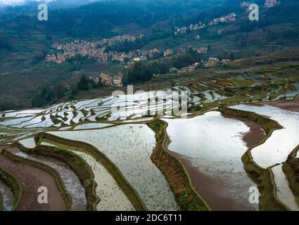 Terrazze di riso, Yunnan, Cina Foto Stock