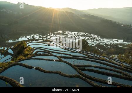 Terrazze di riso, Yunnan, Cina Foto Stock