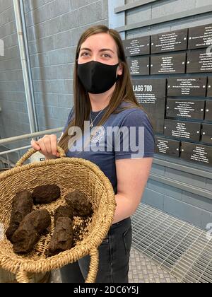 Tour della distilleria di Lagg con degustazione di whisky Isola di Arran in Scozia Foto Stock