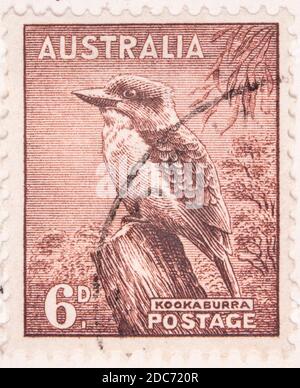 Antwerpen, Belgio - 17 novembre 2020: Un francobollo stampato da Australian Post, presenta Kookaburra uccello Foto Stock