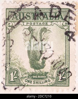 Antwerpen, Belgio - 17 novembre 2020: Un francobollo stampato da Australian Post, presenta un Lyrebird Foto Stock